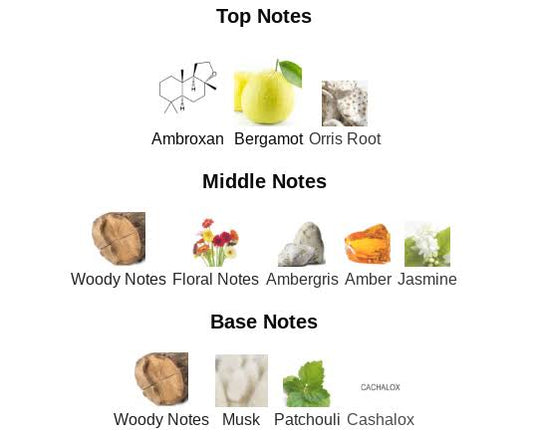 CEO - OFFICE FOR MEN